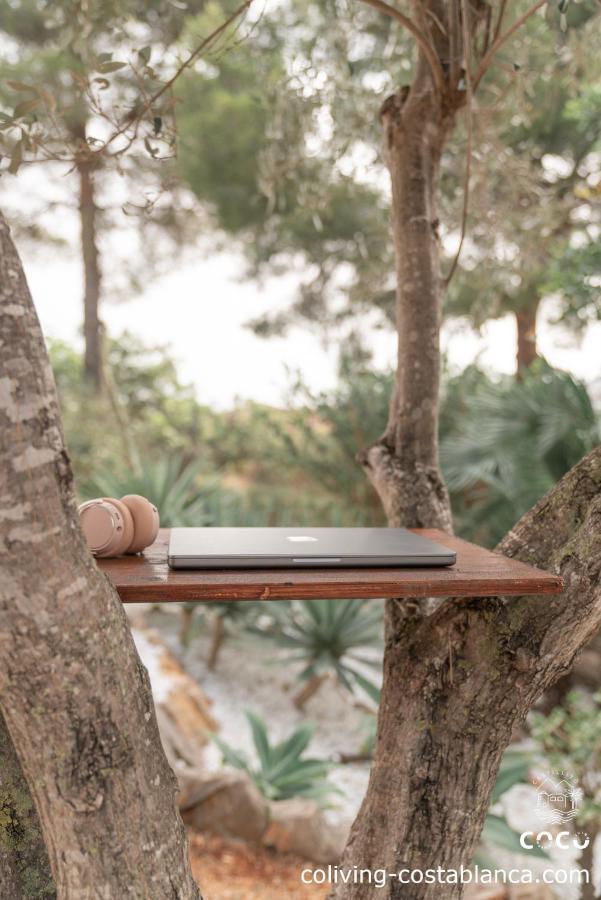 Coco - Coliving & Coworking Costa Blanca
