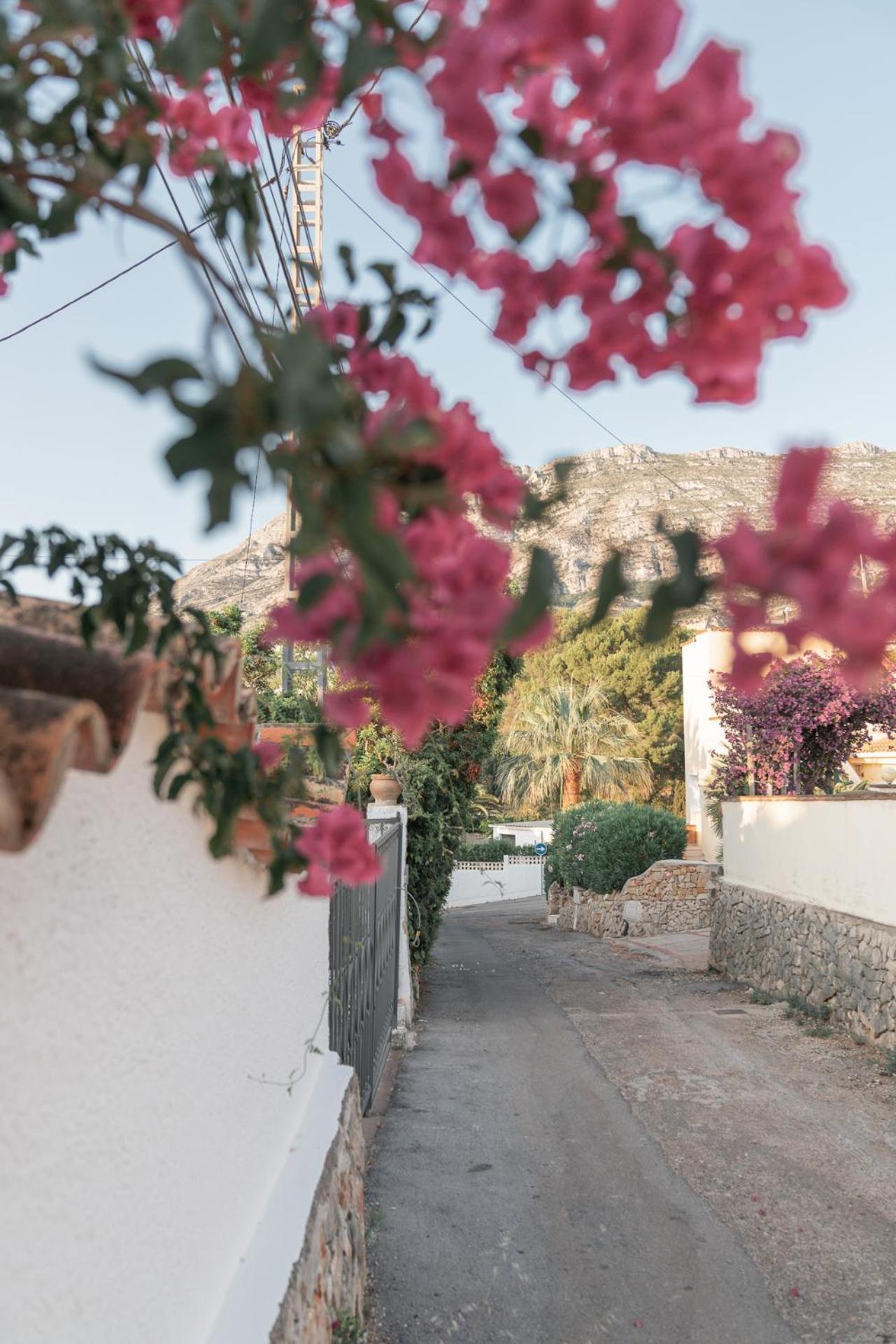 Coco - Coliving & Coworking Costa Blanca Dénia